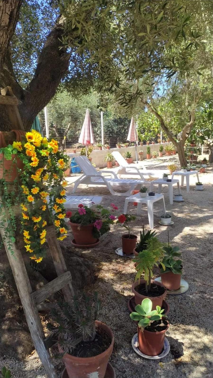 Villa Milla Monacizzo ภายนอก รูปภาพ
